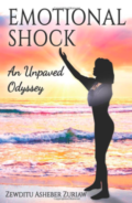 book-cover-emotional-shock