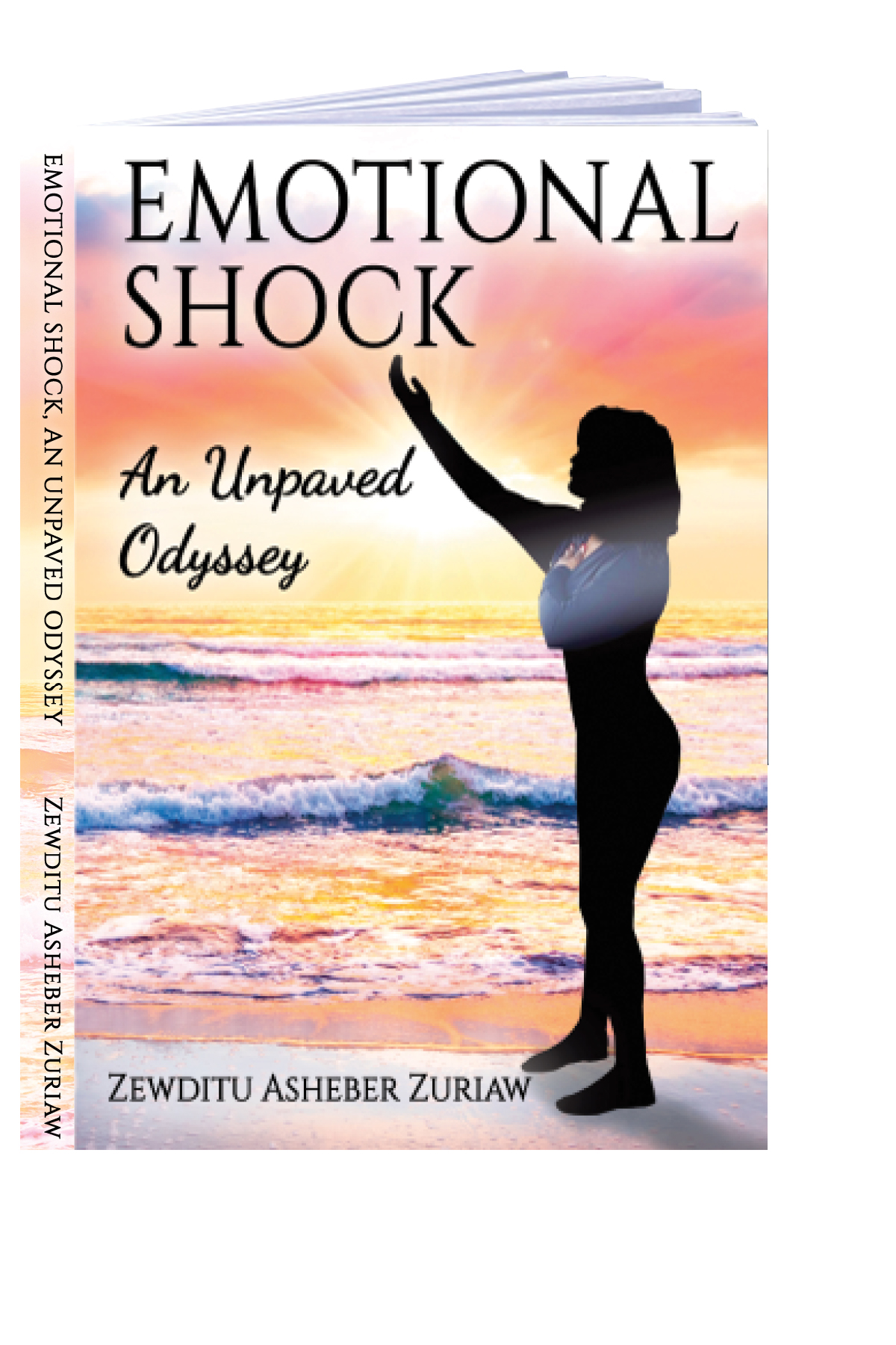 Book: Emotional Shock, An Unpaved Odyssey